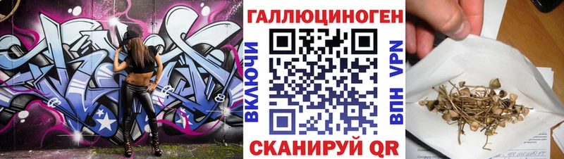Псилоцибиновые грибы MAGIC MUSHROOMS  нарко площадка как зайти  Новый Оскол 